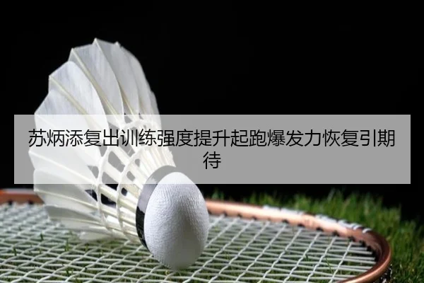 苏炳添复出训练强度提升起跑爆发力恢复引期待